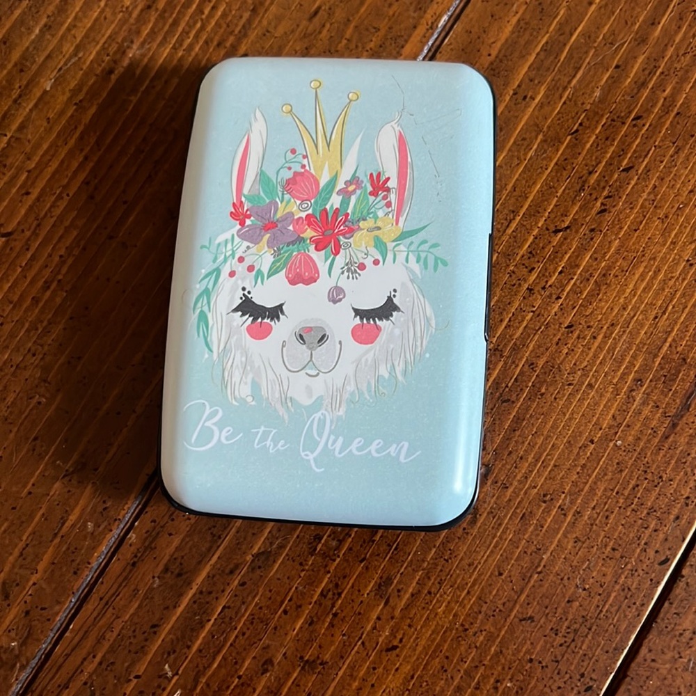 Credit card holder